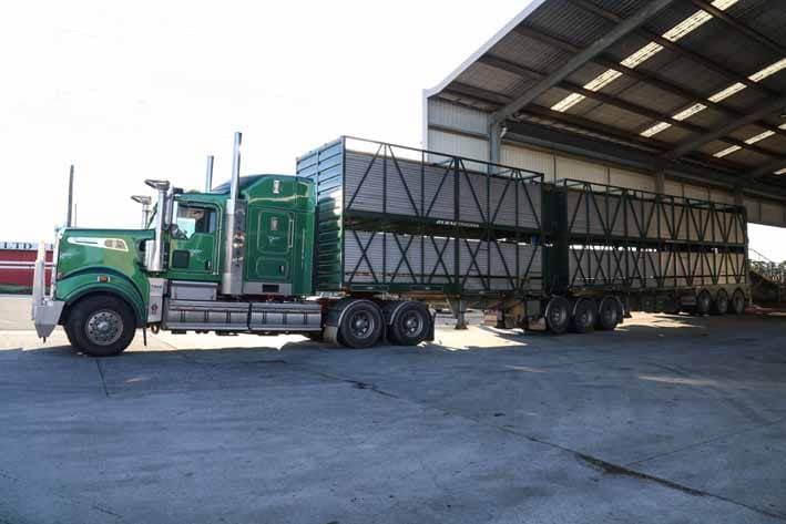 Strong Warragul saleyards post image