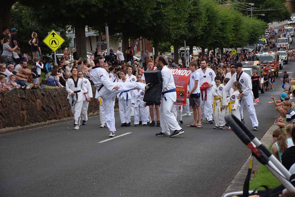 Ficifolia Festival street parade cancelled post image