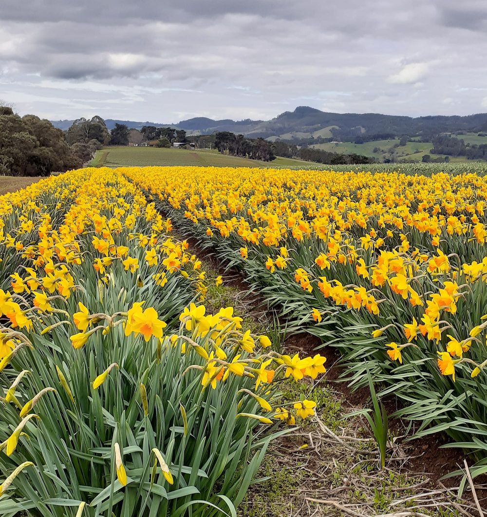 Rain records smashed post image