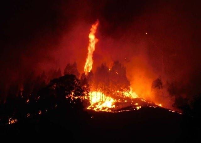 Risk of grassfires increases post image