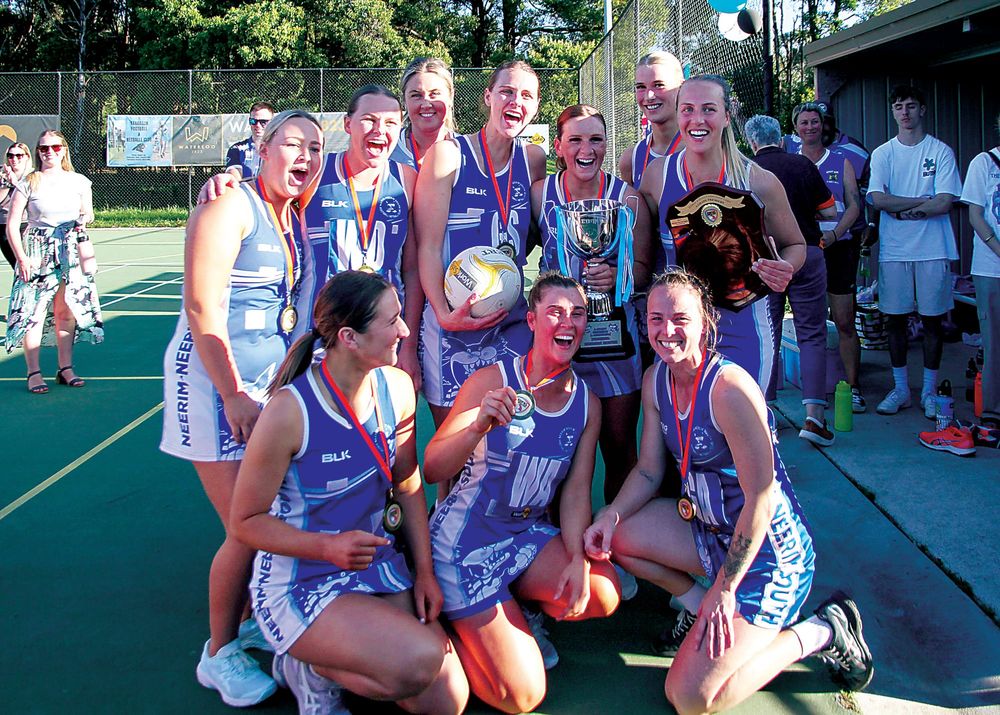 Champion Cats post image