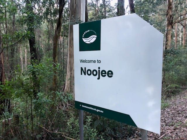 Paint a mural in Noojee post image