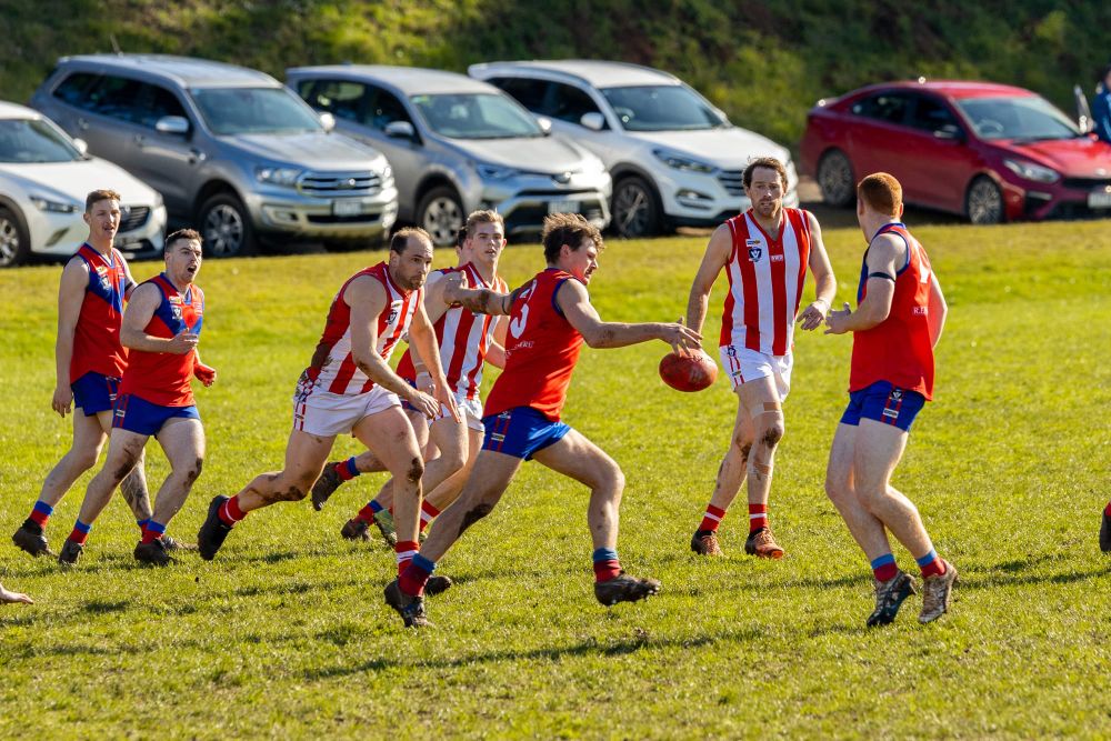 Will Lyrebirds or Bloods advance to take on Cats in EDFNL? post image