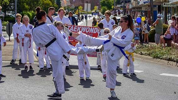 Festival fills park post image