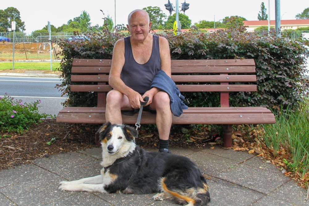 Call for owners to restrain dogs post image