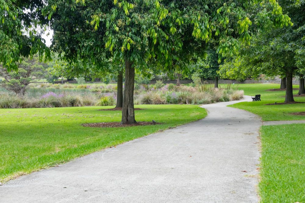 Feedback sought on park upgrade post image