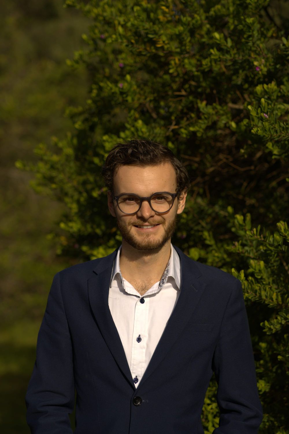 Morgan endorsed for upper house post image