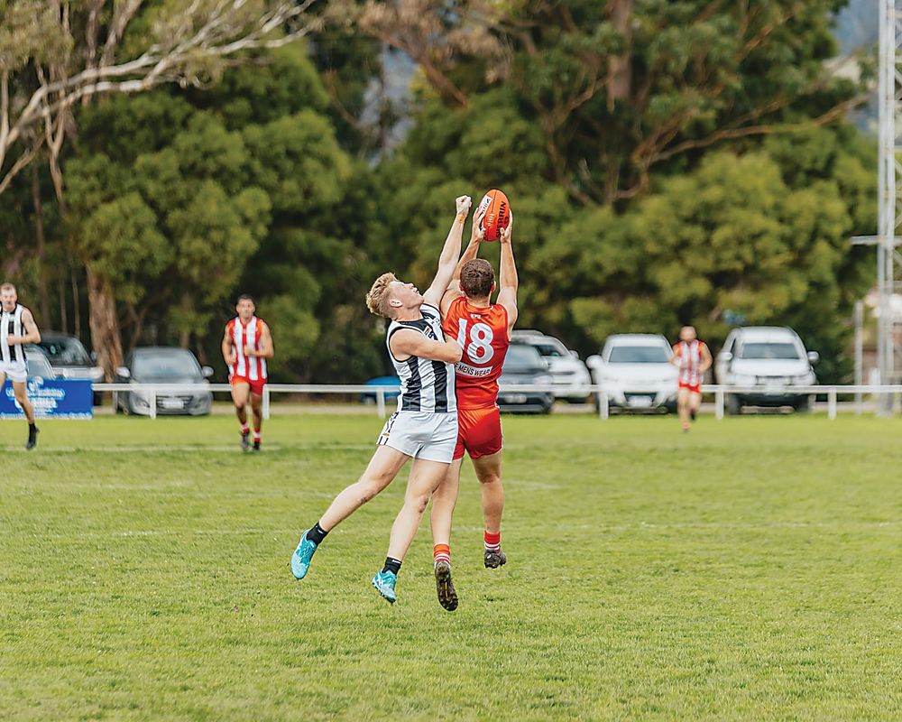 Bloods bounce back post image