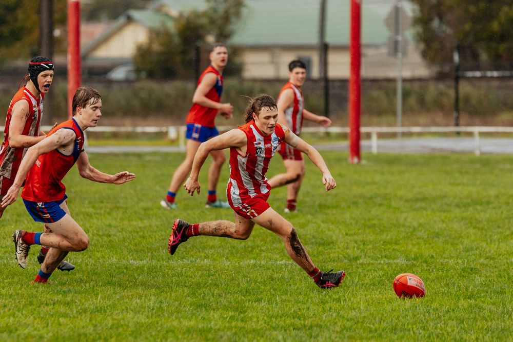 Lyrebirds win out in awful weather post image