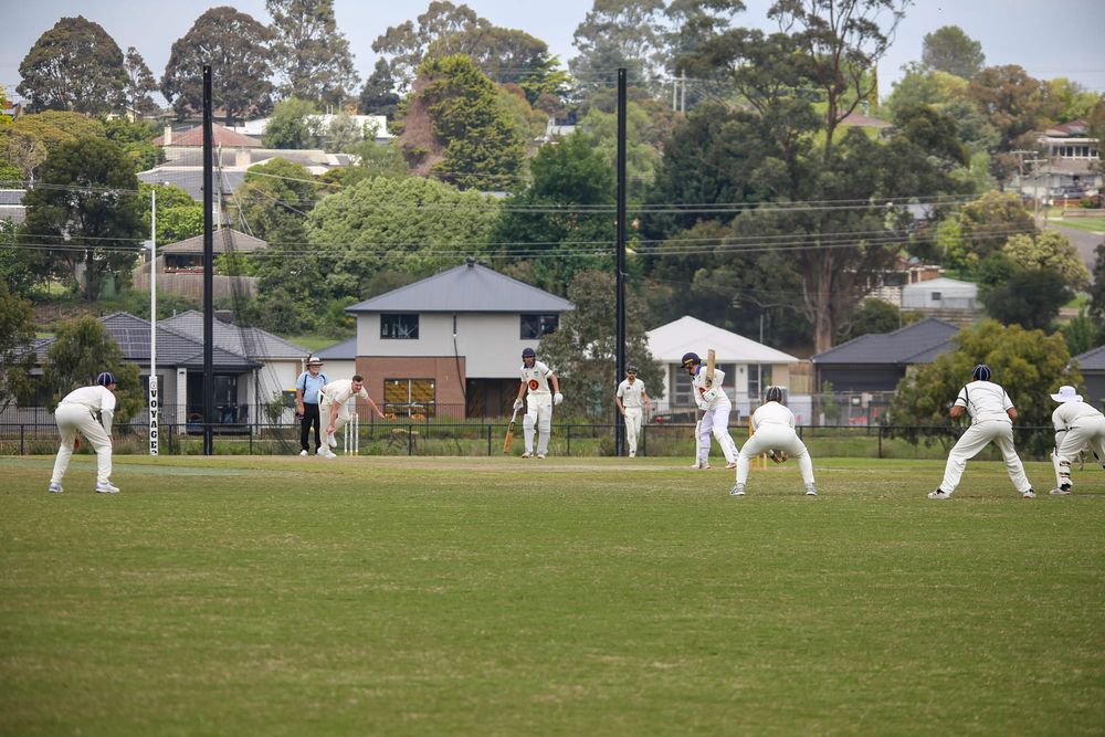 WDCA Cricket Division 1 Western Park vs Catani - November 1, 2025 post image