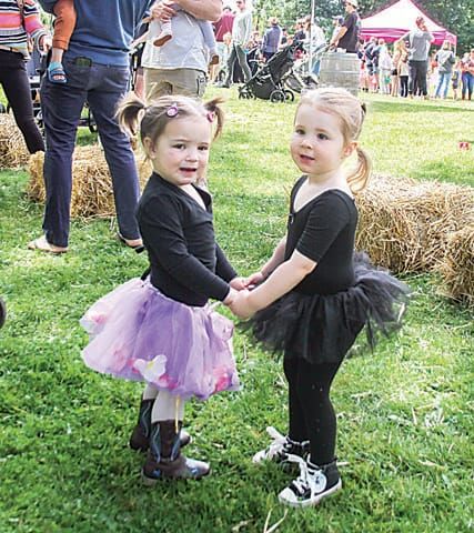 Warragul Farmers Market 10th Anniversary - 18.11.2023 post image