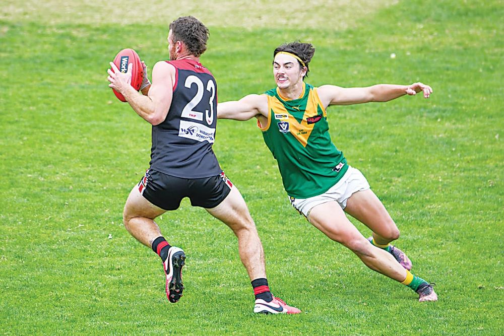 Warragul succumbs to reigning premiers post image