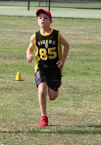 Triathalon - 11.02.2023 post image