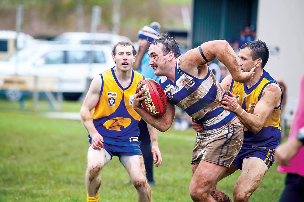 Bloods host Cats in match of the day post image