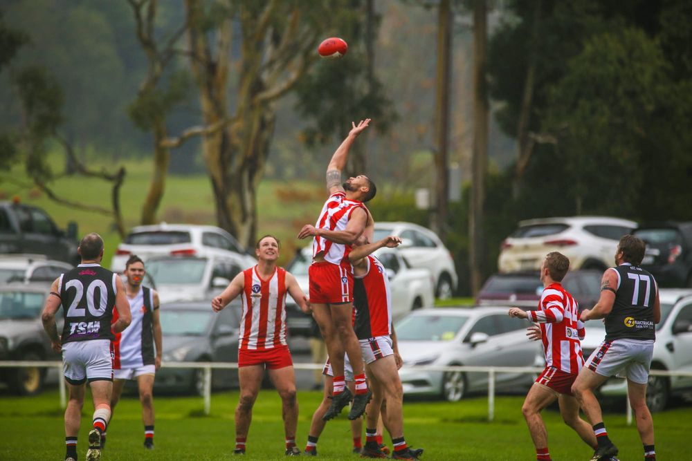 Magpies quell Crows post image