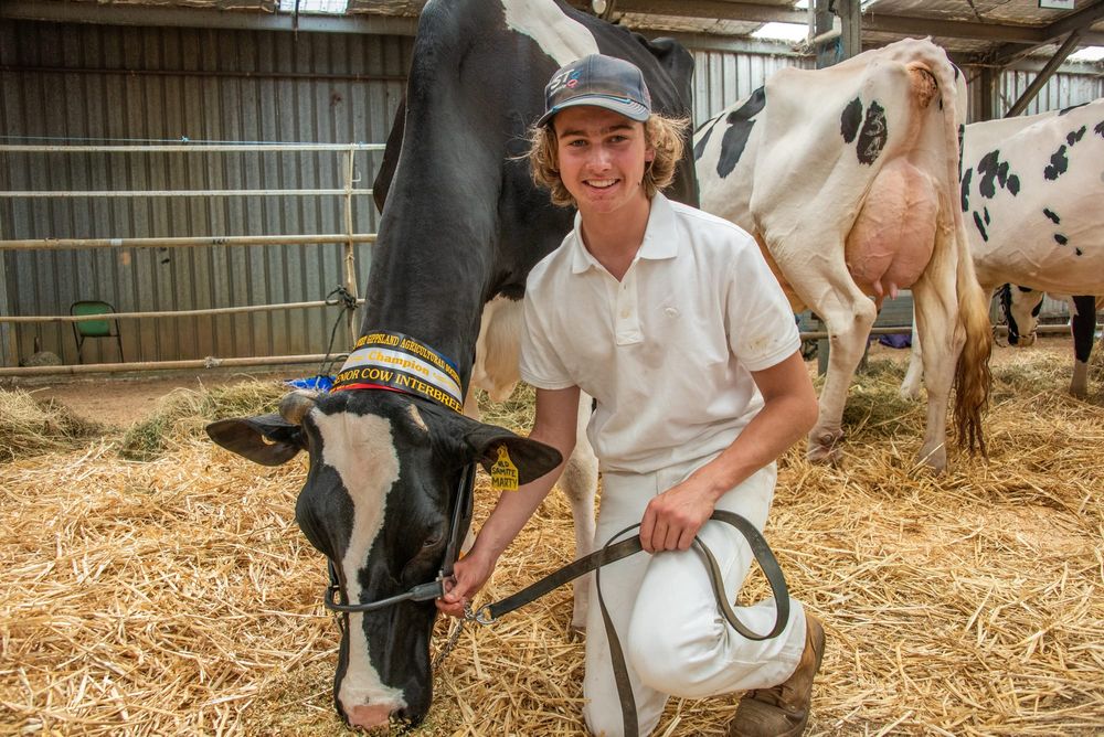 Warragul Show a success post image