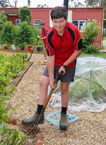 Nilma PS - 27.12.2022 post image