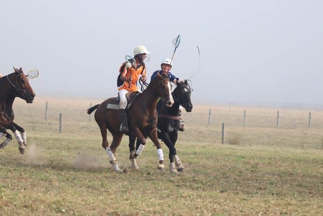 Polocrosse - 02.04.2024 post image