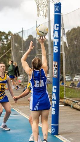 Netball B Grade Neerim South Vs. Ellinbank - 20.08.2022 post image