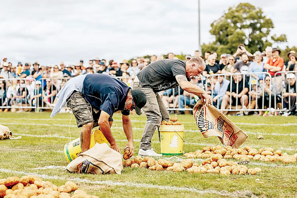 Gazette news of 2023 - January to March post image