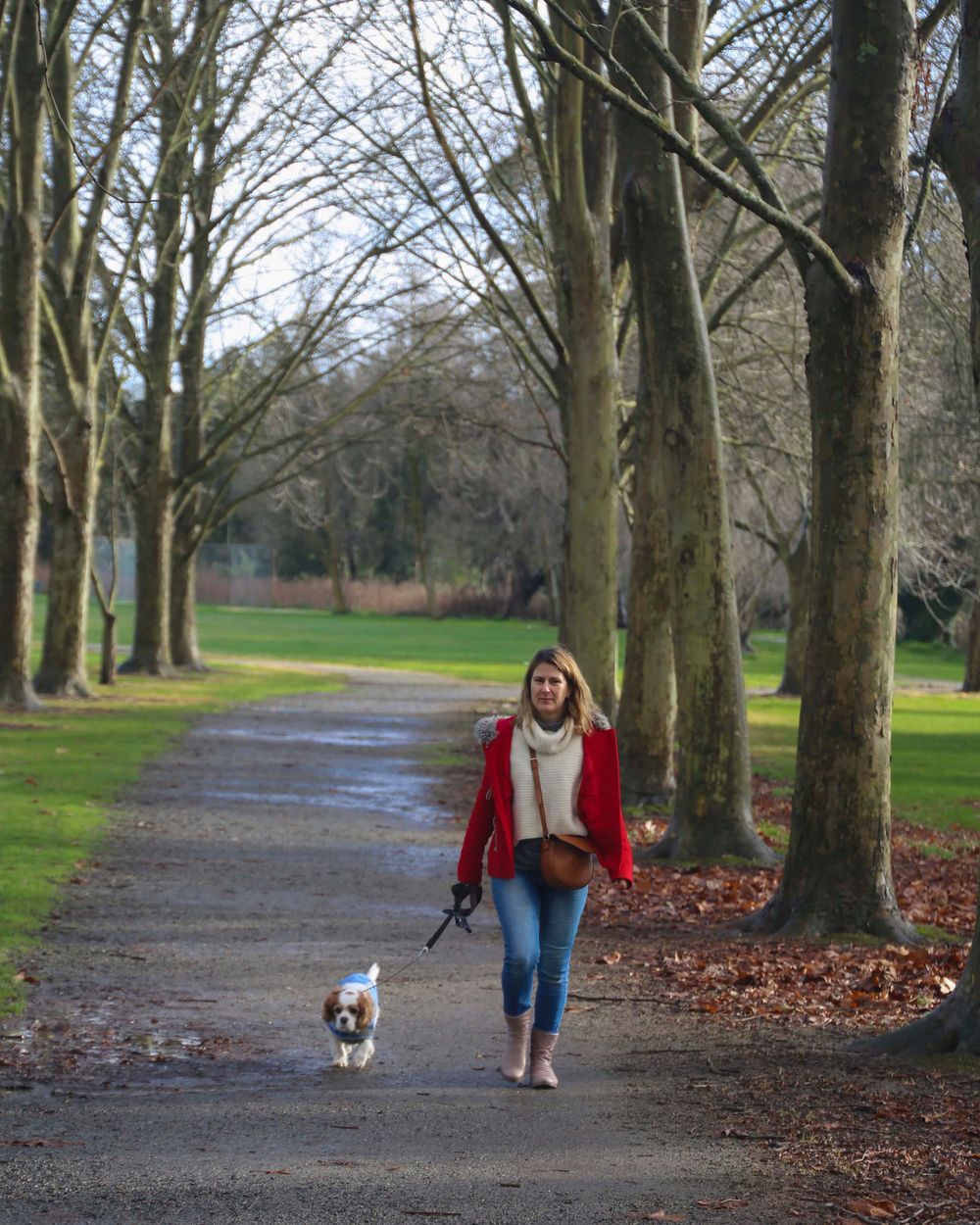 Warragul Winter Walker - 19.07.2022 post image