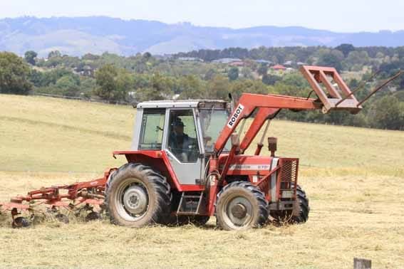 Rain needed for hay harvest post image