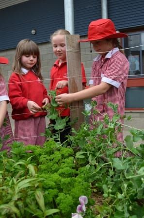 Students build green wall post image