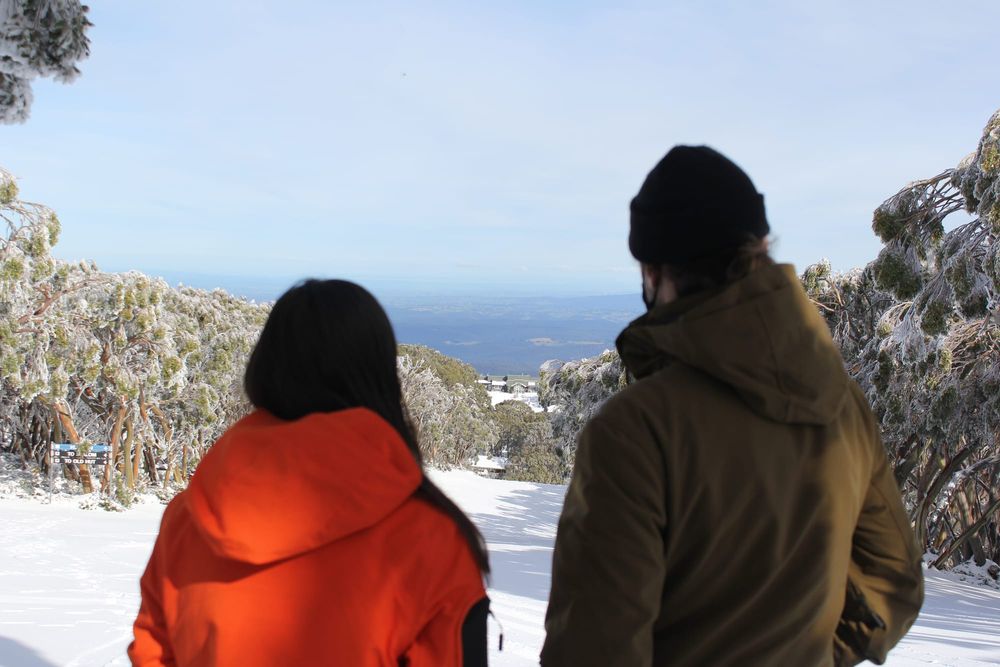 Preparation is key to alpine driving post image