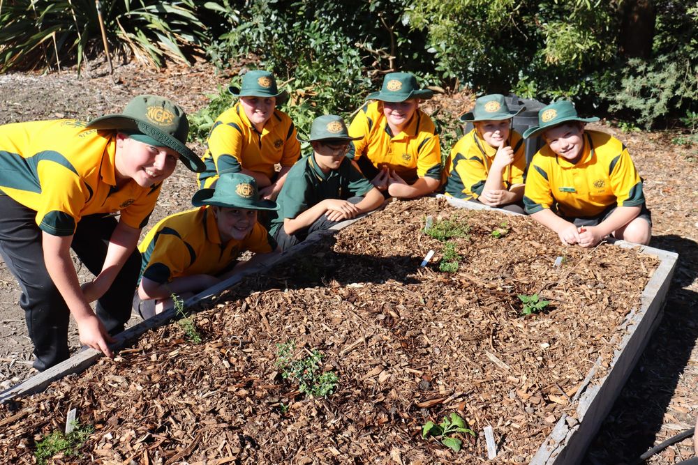 Growing bush tucker post image