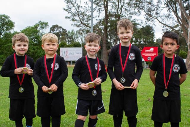 Mini Roos Warragul - 31102020 post image