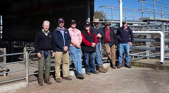 VLE defends Warragul Saleyards imminent closure post image