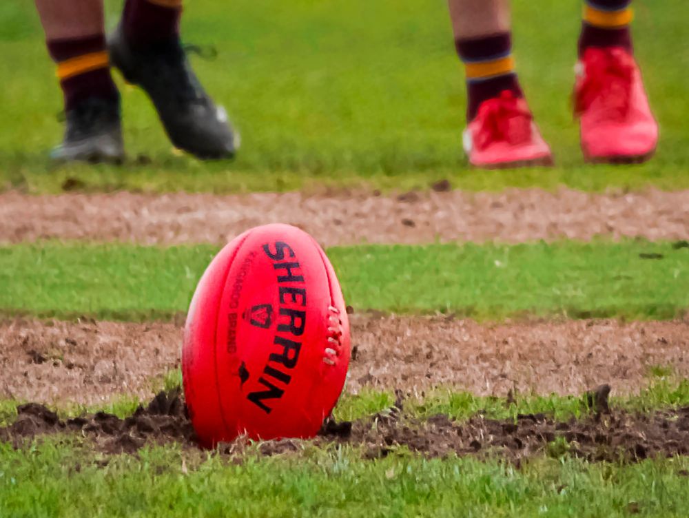 Gulls miss out in Magpie thumping post image