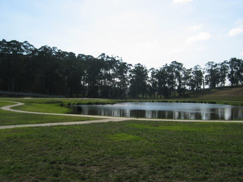 Petition seeks to stop road extension post image