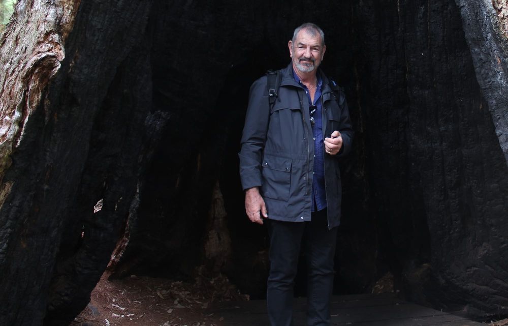 Higgins releases new album post image