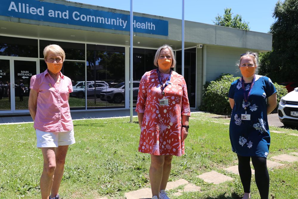Organisations walk in solidarity against family violence post image