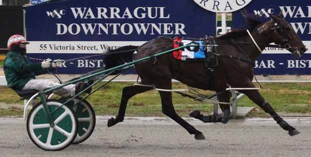 Alford is top horseman post image