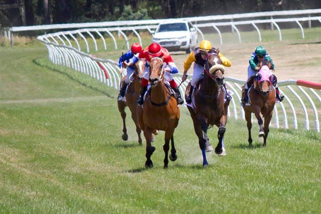 Drouin Races - 26122020 post image