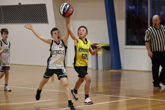 Basketball - 20.08.2021 post image