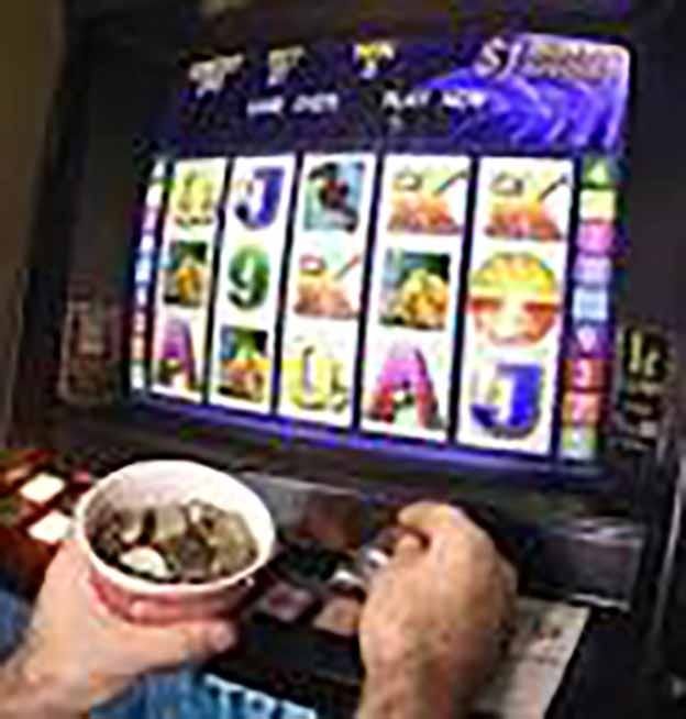 Club seek pokies post image