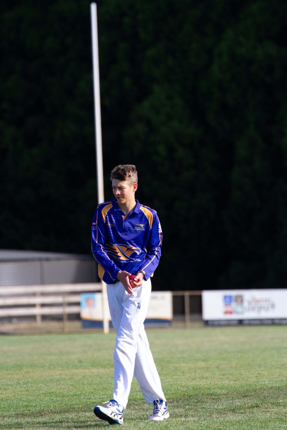 Cricket (U16's) Ellinbank Vs. Neerim District - 12.03.2022 post image