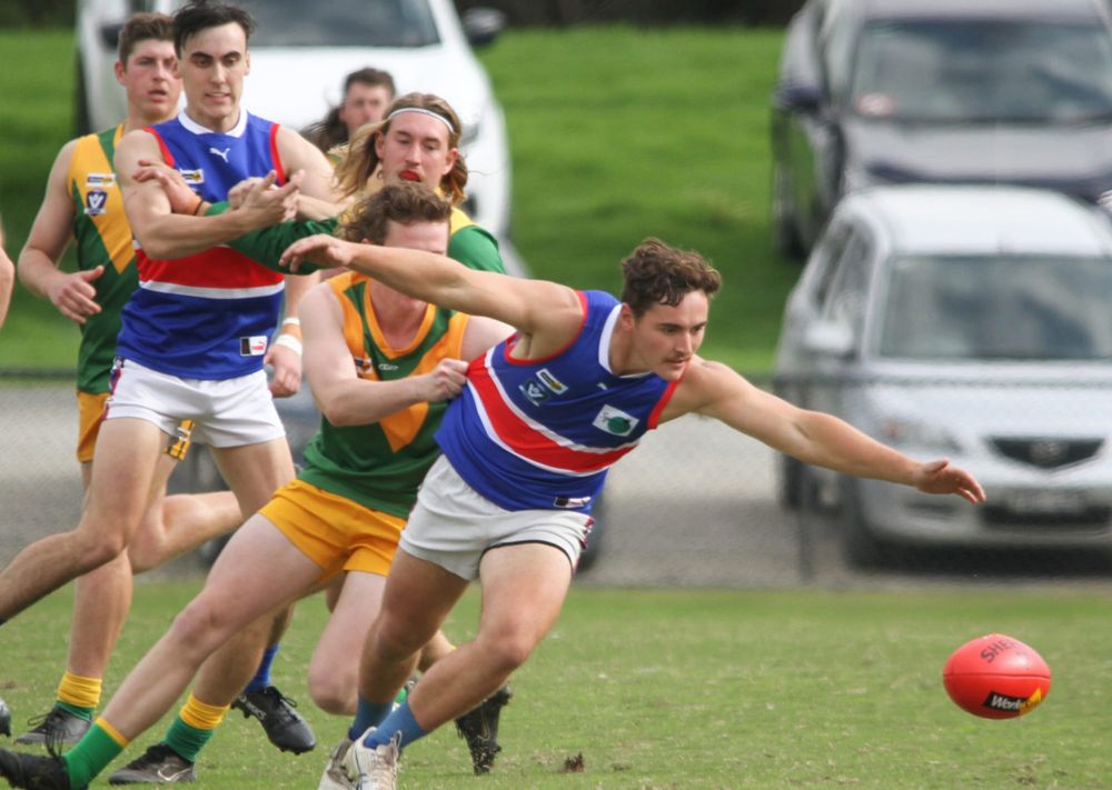 Local teams fight it out as Bulldogs meet Stars post image