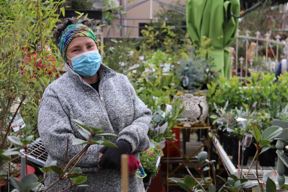 No jab no entry post image