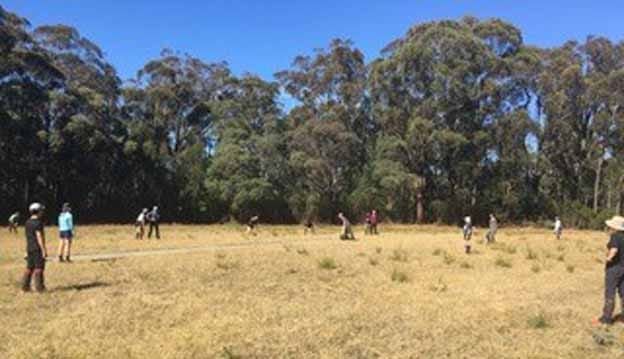 Walhalla cricket reactivated post image