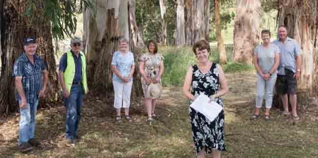 Trees group fear development post image