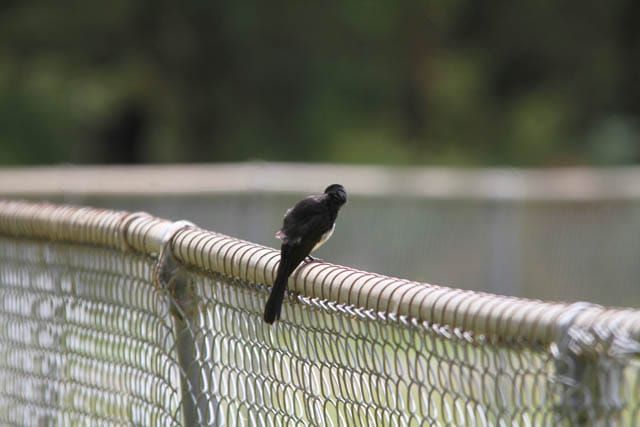 Photos - 19.12.2023 post image