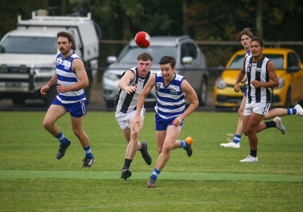 Cats and Magpies meet in top five battle post image