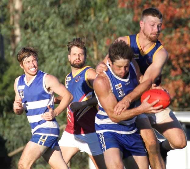 Eagles and Cats lead EDFL post image