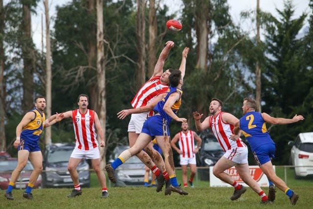 Football EDNFL Seniors - Ellinbank Vs. Trafalgar - 27.05.2023 post image