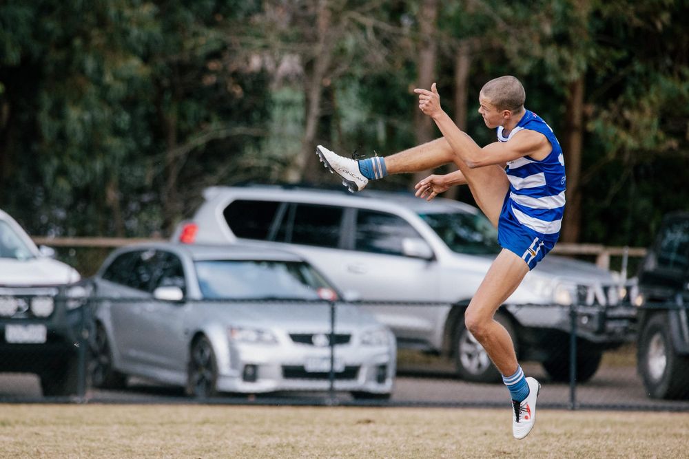Cats aim to tame Tigers post image