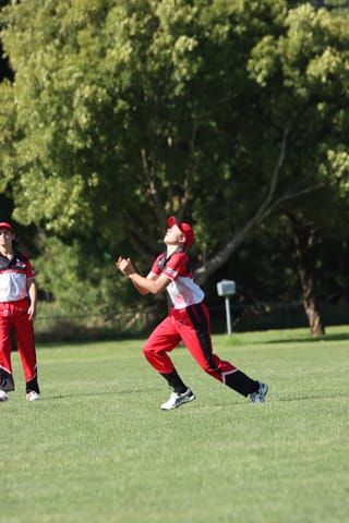Cricket U16s Warragul Vs. Drouin - 05.02.2022 post image